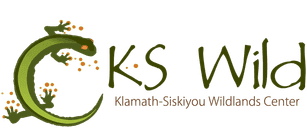 KS Wild logo