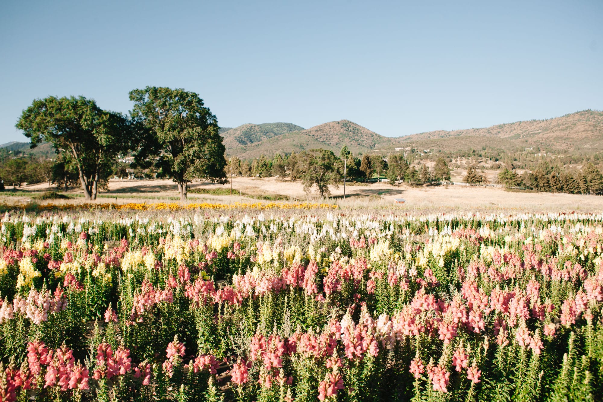 Ashland Climate Action Project Event