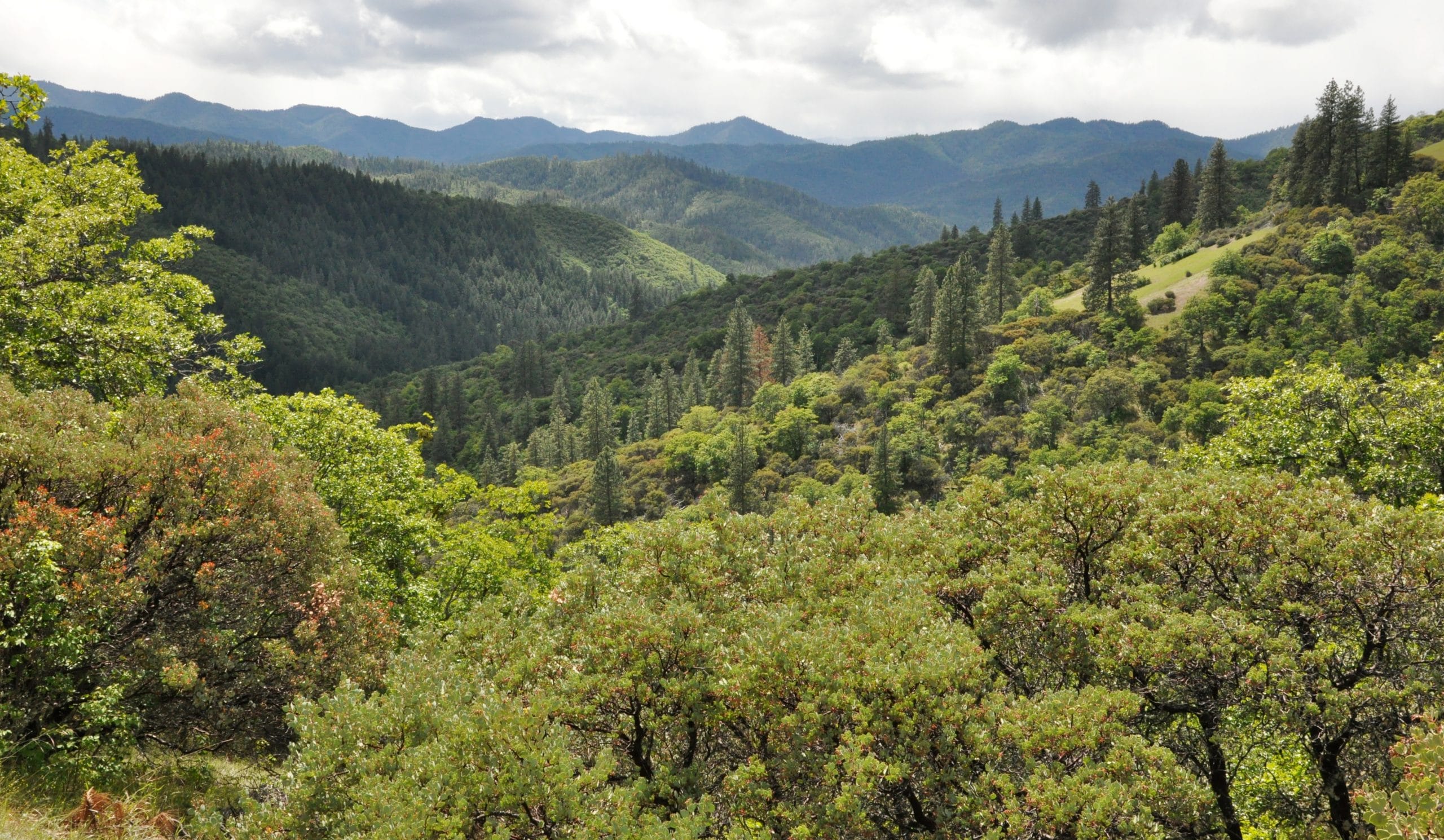 Box R Aggregate Mine Appeal