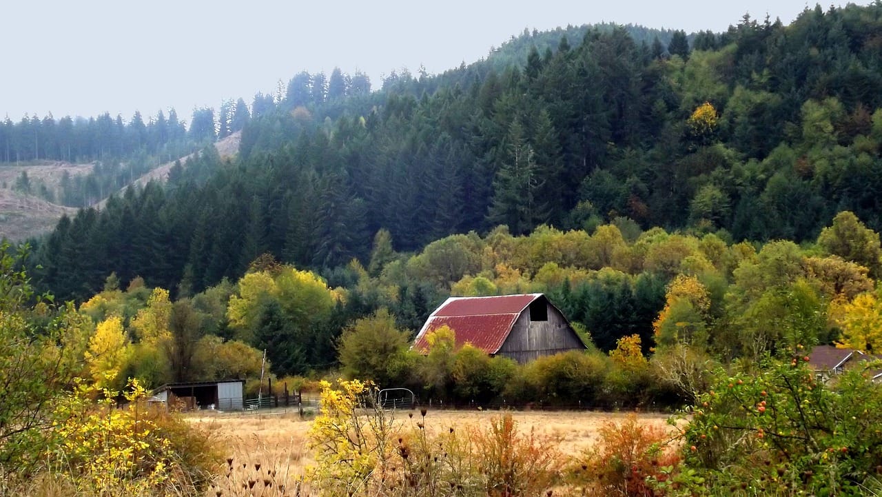 Rogue Advocates Wins Two Appeals at LUBA