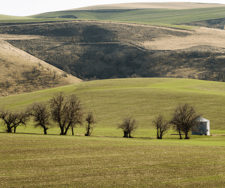 SOCAN’s 7th Annual Master Climate Protector Course begins February 2022