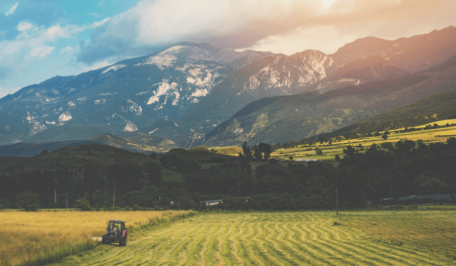 Homage to Rogue Advocates Founder Jimmy MacCleod