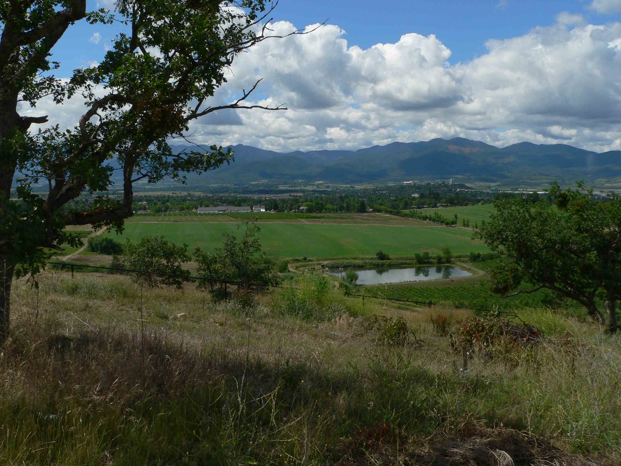 Mail Tribune Guest View: Fight to protect farm and forest lands turns 30